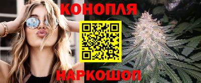 дмт Шахты